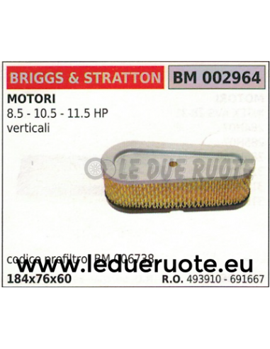 002964 Filtro aria motore Briggs&Stratton